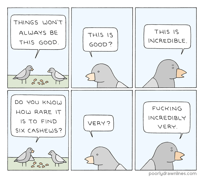 Image description: a comic in six panels, two rows of three. Two birds stand over six cashews. The bird on the left says, "Things won't always be this good." The bird on the right says, "This is good?" The bird on the left says "This is incredible." The bird on the left points at the cashews with its wing and says, "Do you know how rare it is to find six cashews?" The bird on the right says, "Very?" The bird on the left says "Fucking incredibly very."