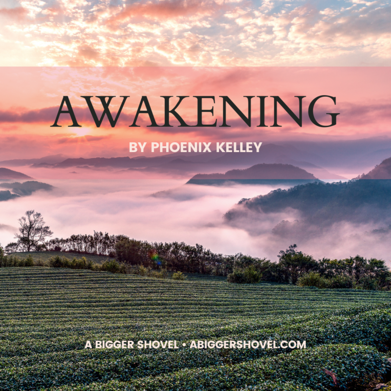 Awakening by Phoenix Kelley